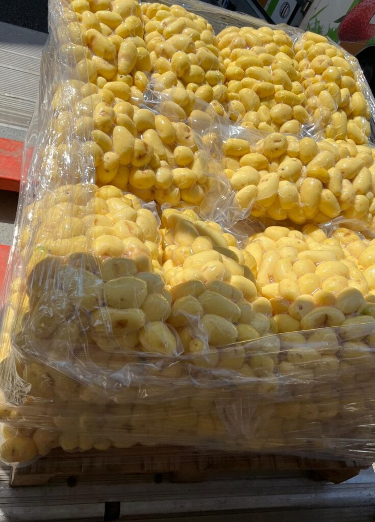 Gros plan sur une palette de pommes de terre pelées et cuites, conditionnées sous vide dans de grands sacs en plastique transparent empilés.